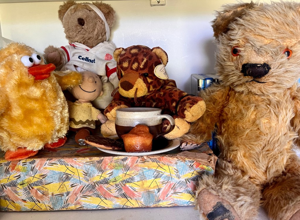 Teddy Bears’ Picnic