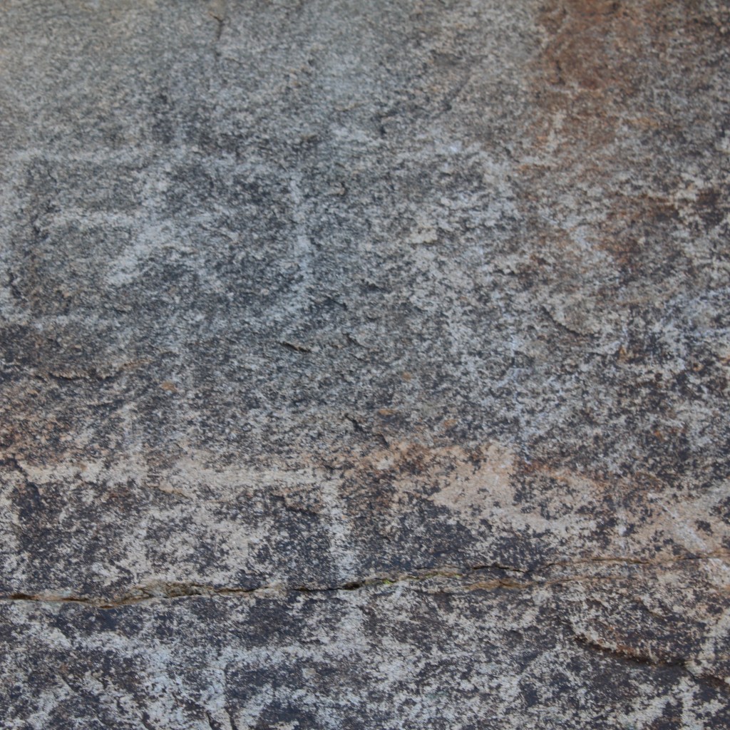 Sonoran Desert Allure