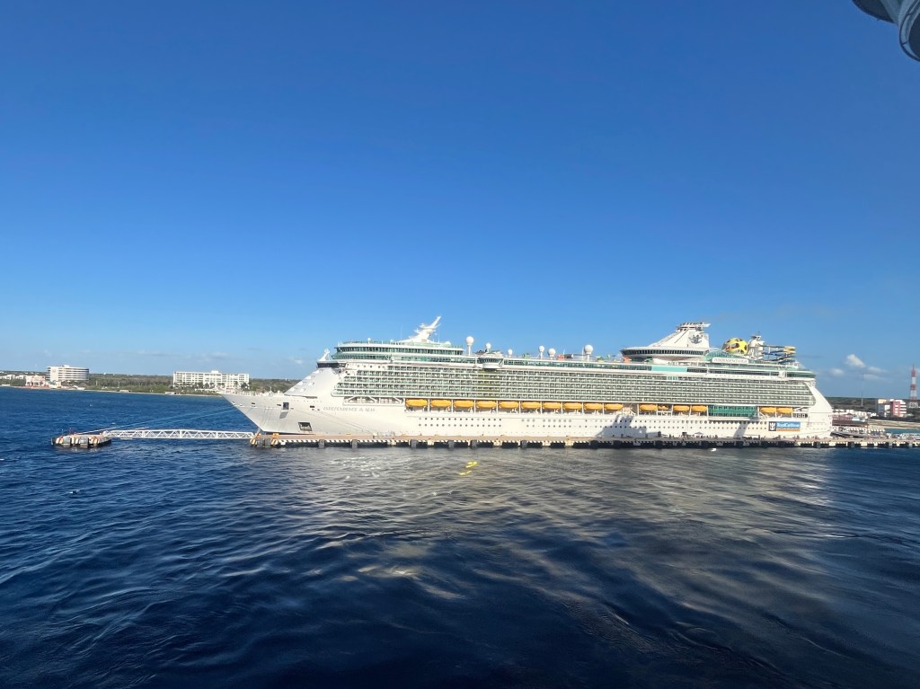 The Democracy of Soft Serve: